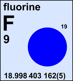 fluorine atom